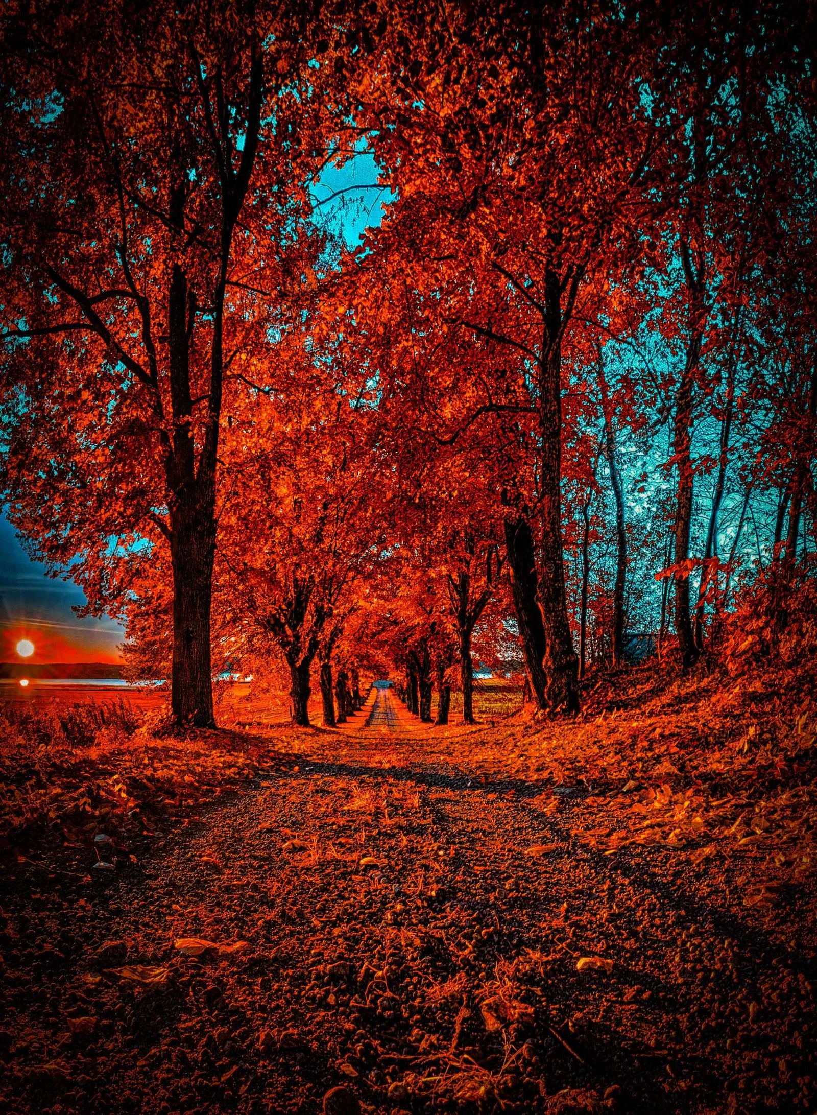CB Edit Background 28 scaled 1