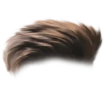 Hair PNG