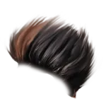 Hair PNG 4