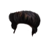 Hair PNG 9