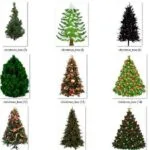 Festive Merry Christmas Tree PNGs for 2025: Free 15+ PNGs ZIP File Download Merry Christmas Tree PNG