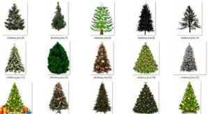 Merry Christmas Tree PNG