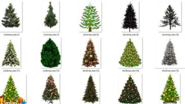 Festive Merry Christmas Tree PNGs for 2025: Free 15+ PNGs ZIP File Download Merry Christmas Tree PNG